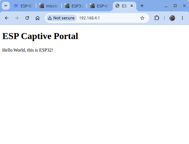 example app Captive Portal browser